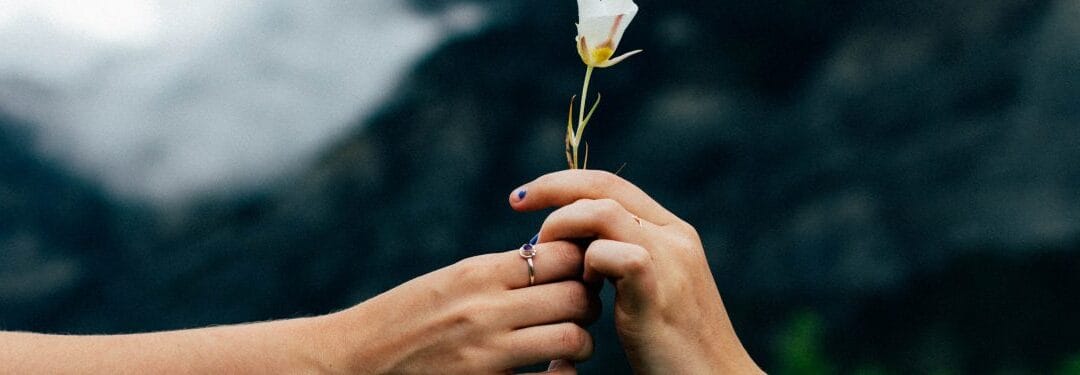 Two hands holding a delicate white flower, adorned with rings, against a blurred dark background.