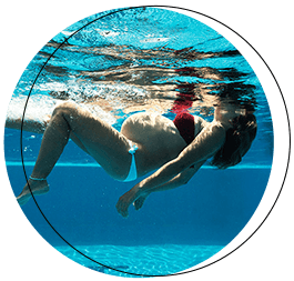 pregnant Χελωνάκια