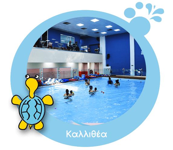 Xelonakia kalithea pool window view