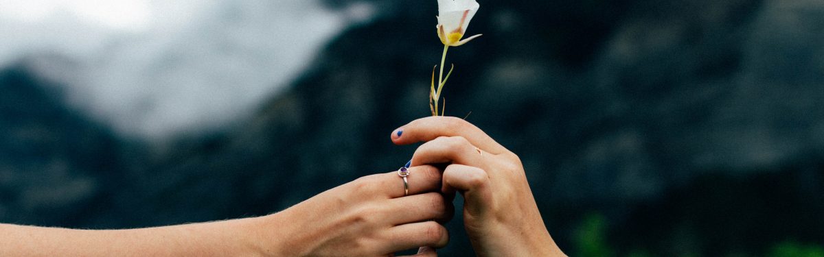 5-1-kanones-gia-mia-ygii-schesi-me-to-syntrofo-sas Two hands holding a delicate white flower, adorned with rings, against a blurred dark background.